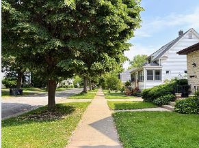 7 Incredible Homes for Sale in Milwaukee Tips: Be Prepared! 3 af tree